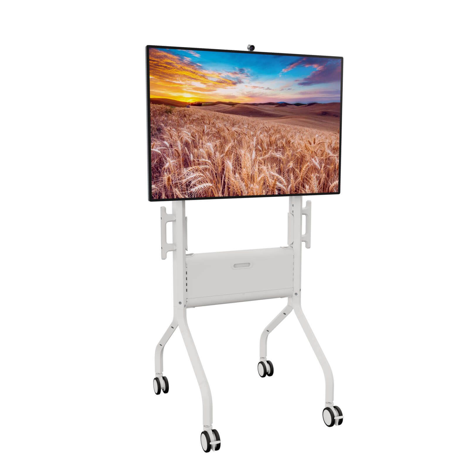 Foto (CHIEF® Voyager AV Cart)