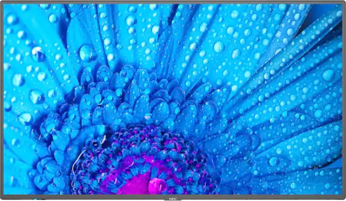 NEC LCD M651-2 65 Zoll, UHD, 500cd, 24/7, schwarz