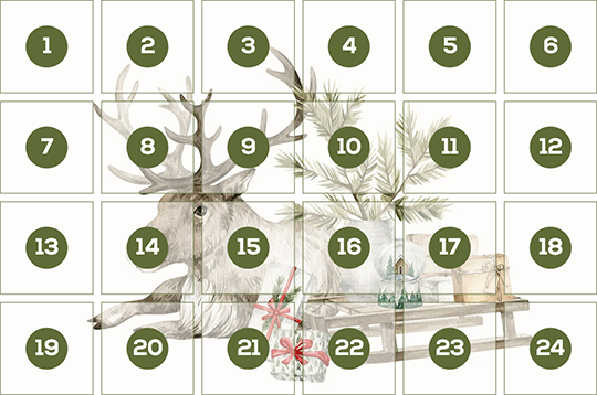 Exklusive Adventskalender-Aktion