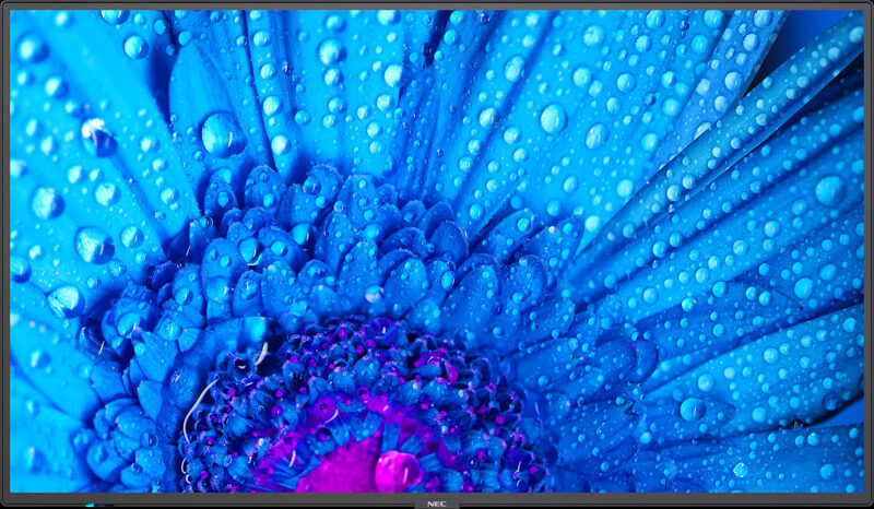 Foto (NEC Multisync® NEC M751 / M861)