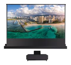 Foto (WS GR Bodenleinwand Motor CLR)