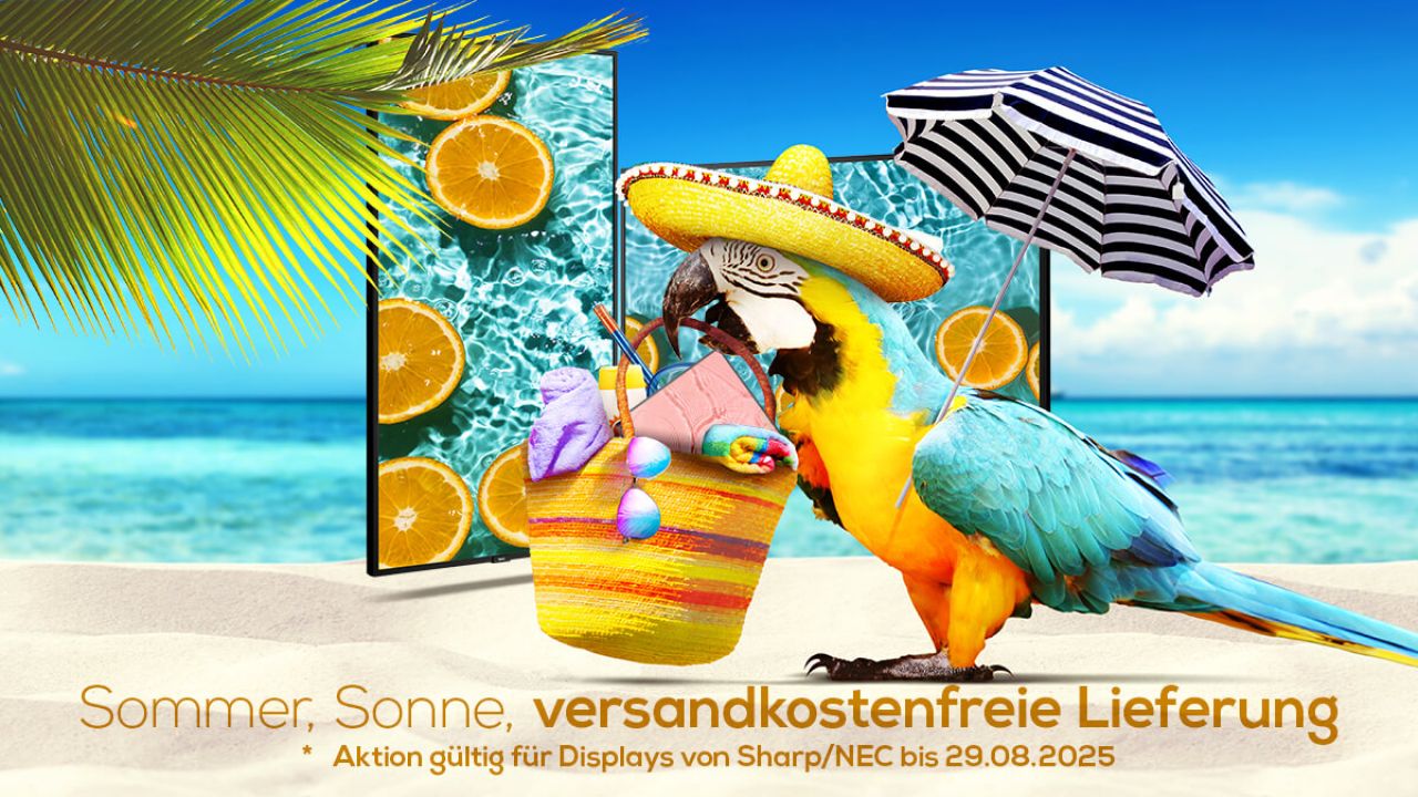 Slide (Sommer, Sonne, versandkostenfreie Lieferung)